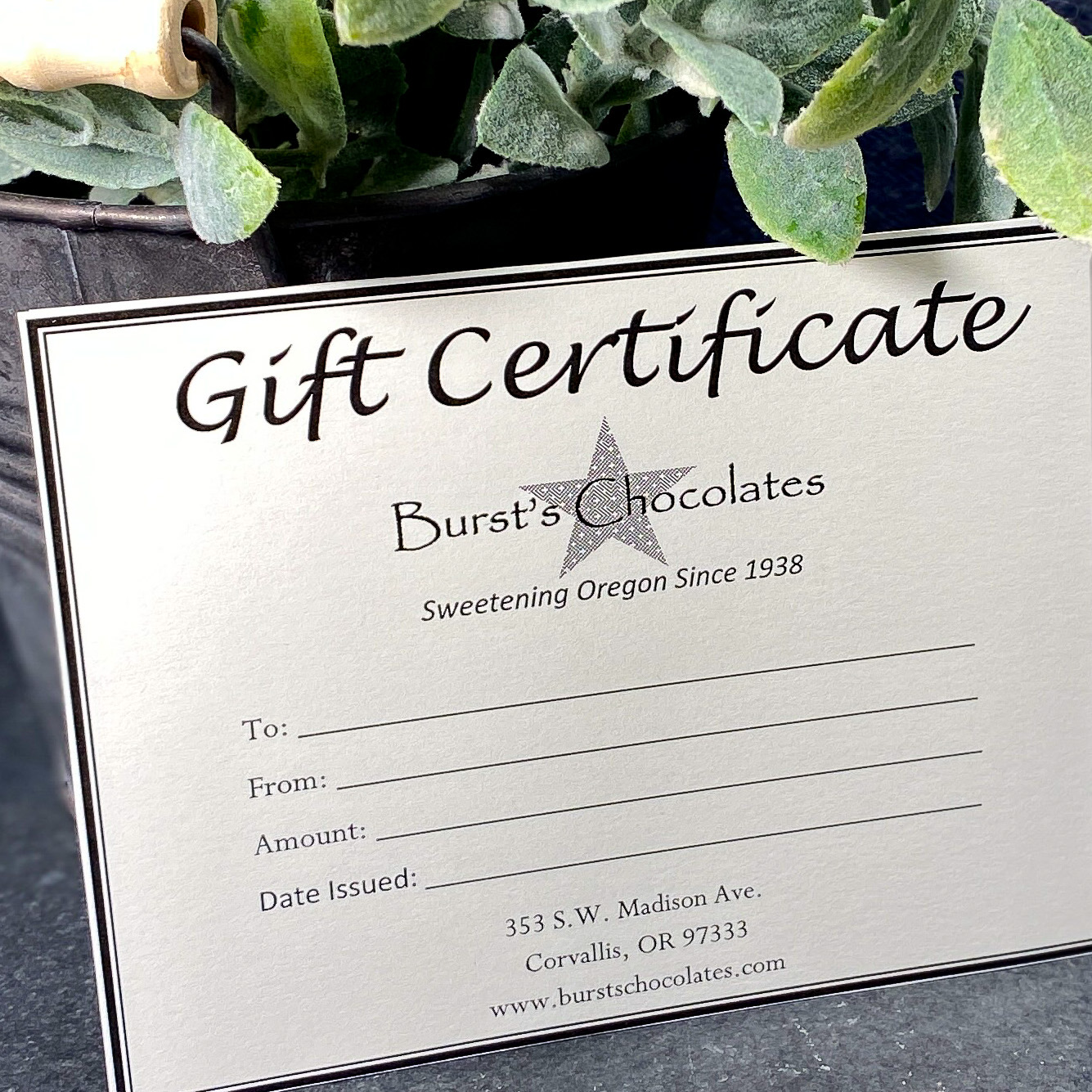 $45 Gift Certificate