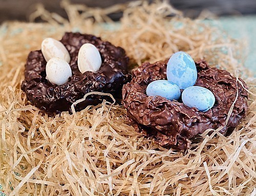 Coconut Bird Nest w/Blue Eggs